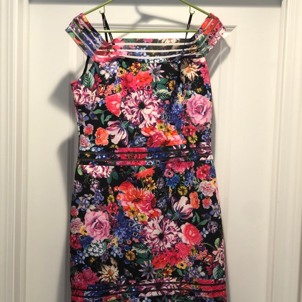 XL Tadashi Shoji Dress